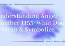 angel number 1155 meaning in love spirituality, twin flame and more